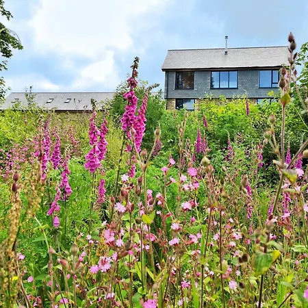 Glamping Yurts Near Newquay Campo de lujo New Quay